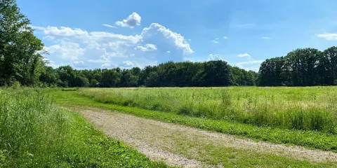 Lincoln Memorial Garden