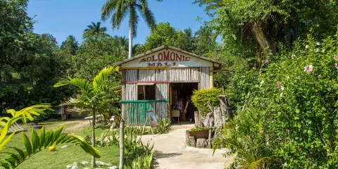 Rastafari Indigenous Village