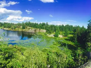 Grundy Lake Provincial Park