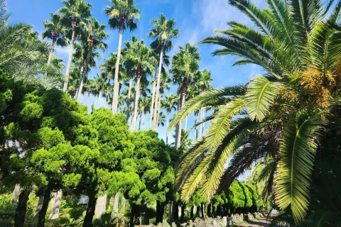 Hallim Park