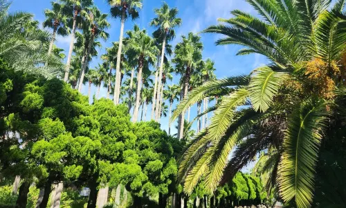 翰林公園