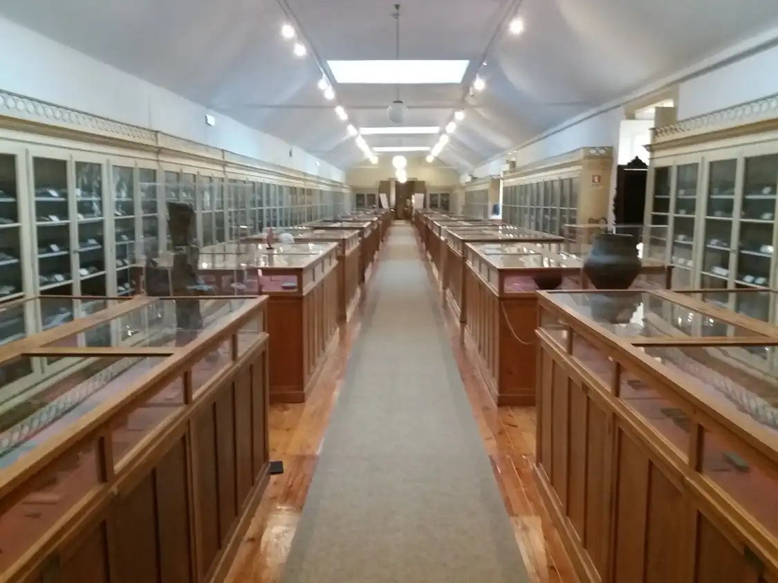 Hotel in zona Geological Museum of Portugal