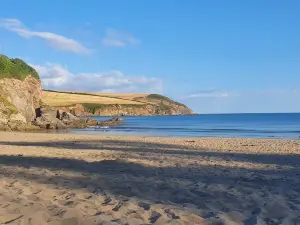 Mothecombe beach