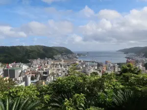 Mt.Ogami