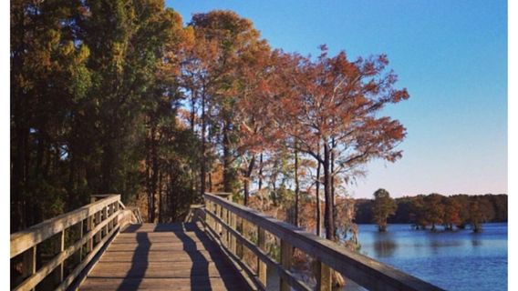 Wilmington