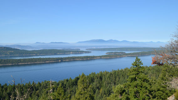 Парк штата Бодега Ридж
