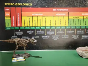 Paleontologia de Marilia Museum