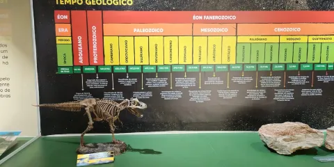 Paleontologia de Marilia Museum