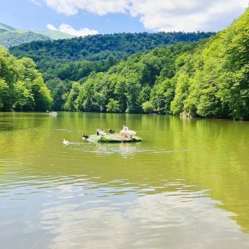 Lake Parz