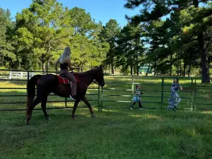 Desperado Horse Farm