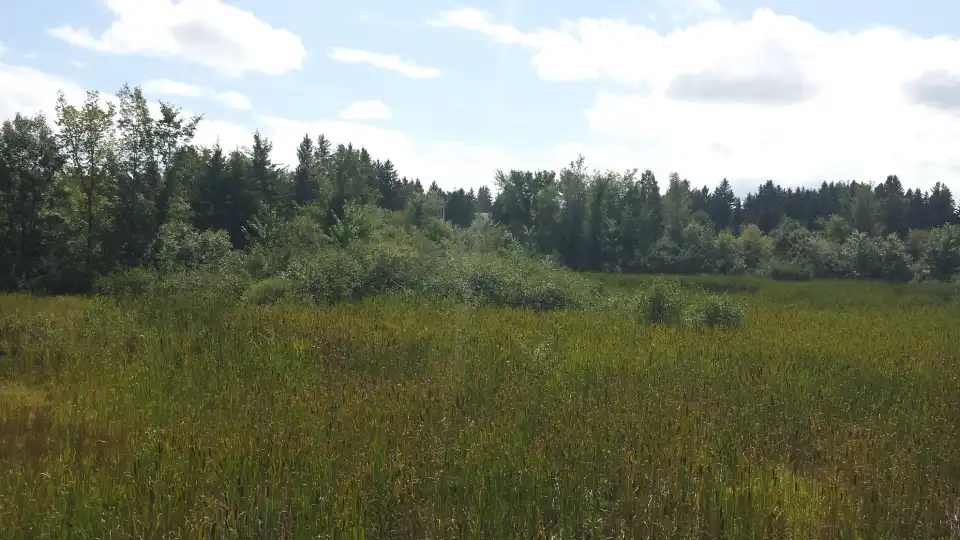 3_Mapleton Park
