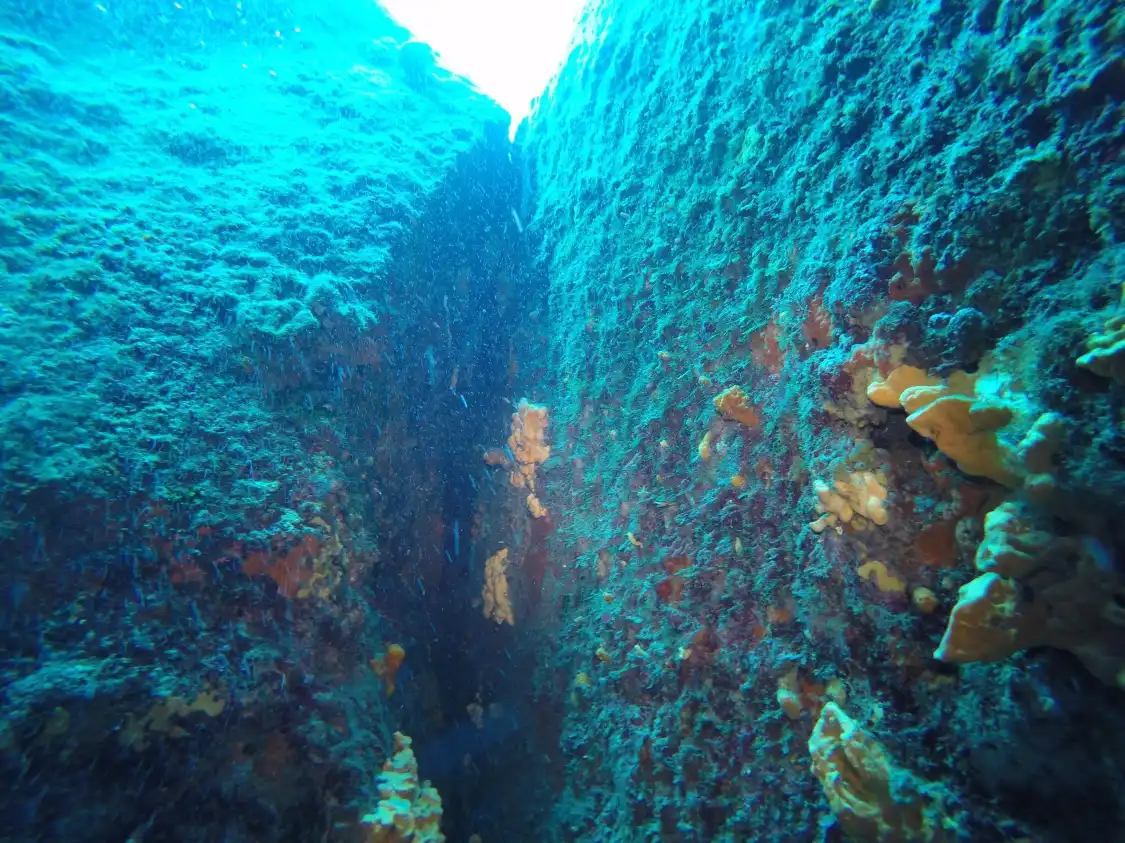 Hotel in zona Atlantis Oia Dive Centre