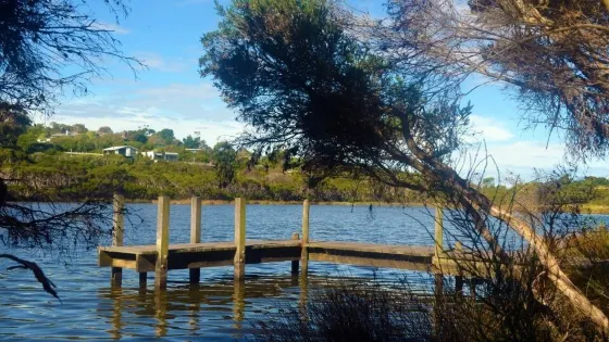 Balcombe Estuary Reserves