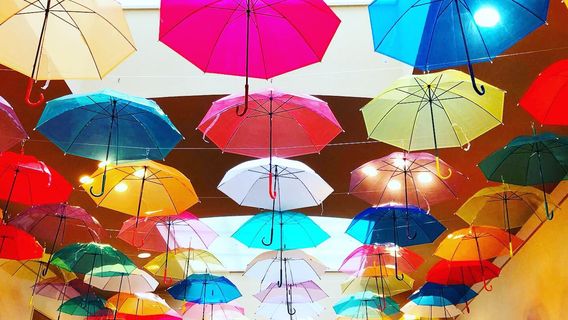 Toyonoonsen Ringo Hot Spring