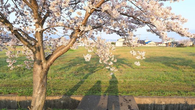 Fujiwara Palace Ruins