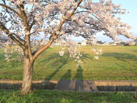 Hotel in zona Fujiwara Ancient Palace Ruin