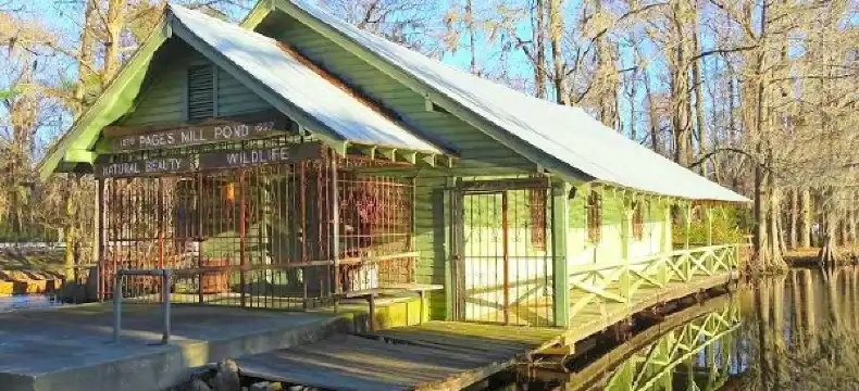 Hotels in Dillon County