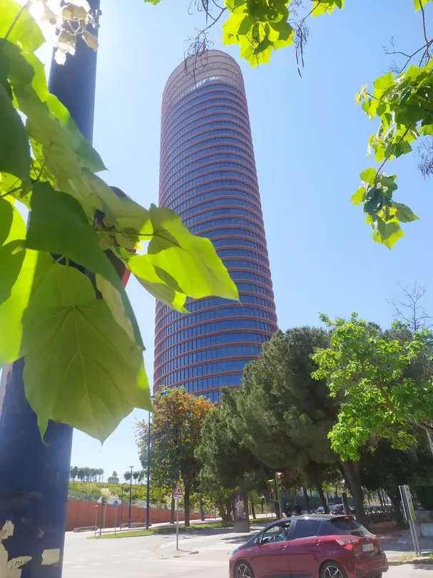 4_Cajasol Tower