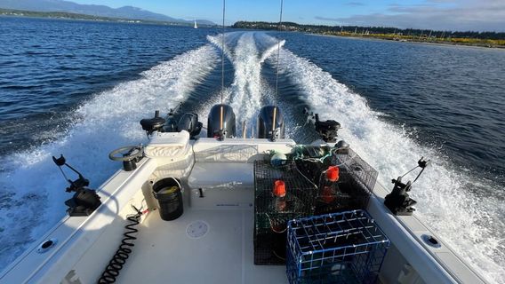 Island Pursuit Sport Fishing