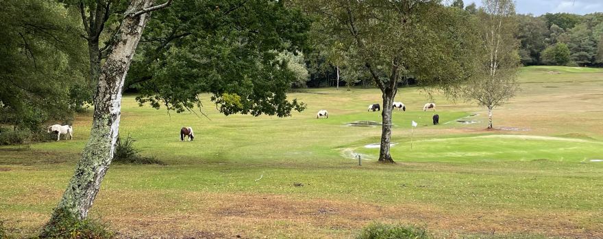 New Forest Golf Club