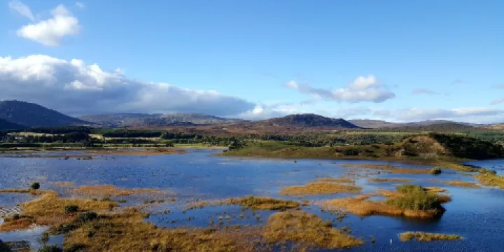 RSPB - Insh Marshes
