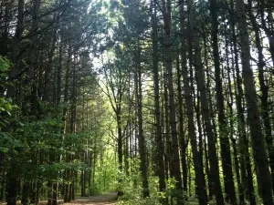 Al Sabo Land Preserve