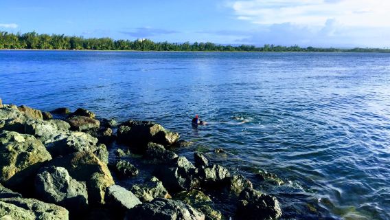 Balneario Punta Salinas