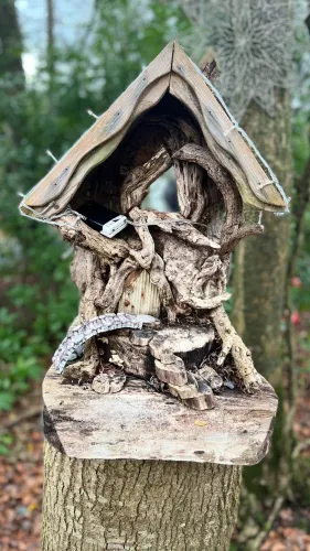 Municipal District of Bailieborough-Cootehill