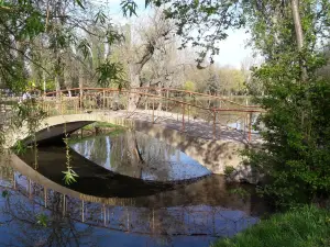 Park Imeni Yuriya Alekseyevicha Gagarina