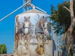 Goorambat Silo Art