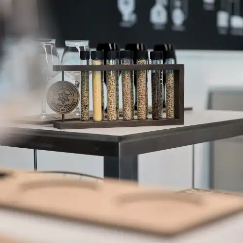 MEGA Mundo Estrella Galicia