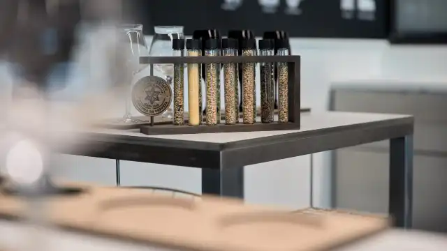MEGA Mundo Estrella Galicia