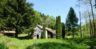 Агуа Кальенте