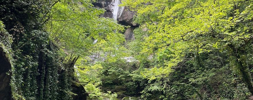Kalipso waterfall