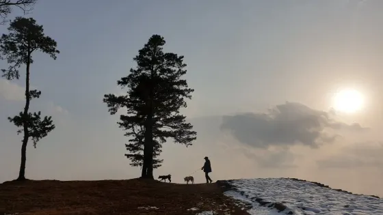 竹州山城