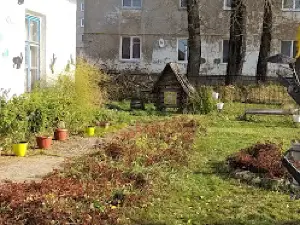 House of young naturalists