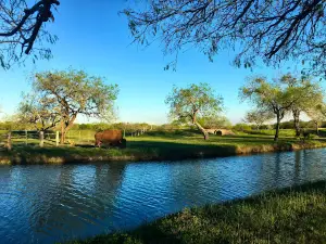The Ranch at San Patricio
