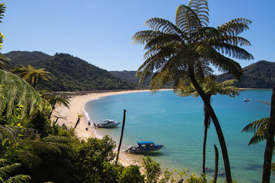 Abel Tasman AquaTaxi