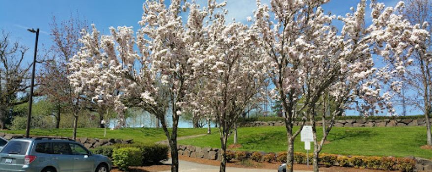 Snyder Park