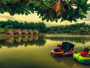 vivetato water&farm