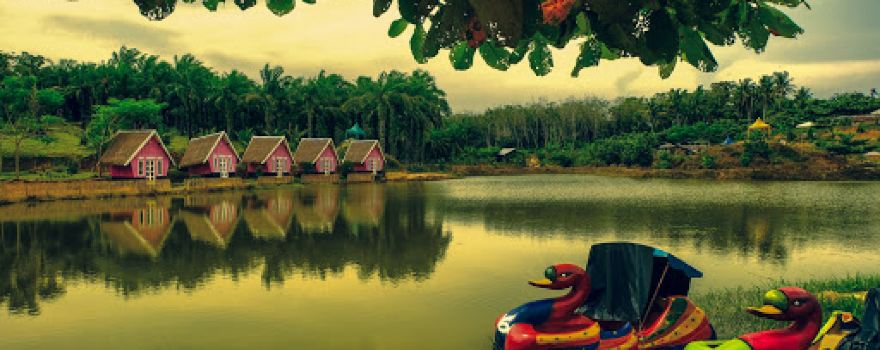 vivetato water&farm