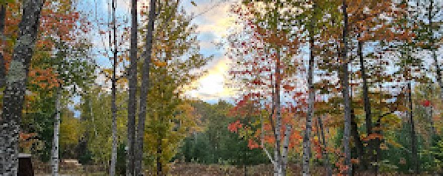 Elkwood Campground
