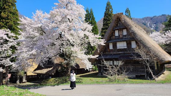 Gokayama Gassho no Sato