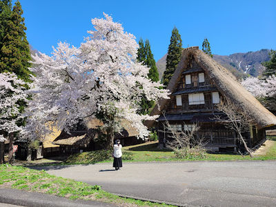 Gokayama Gassho no Sato