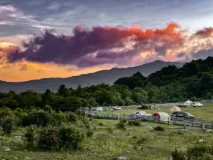 Scales Campground