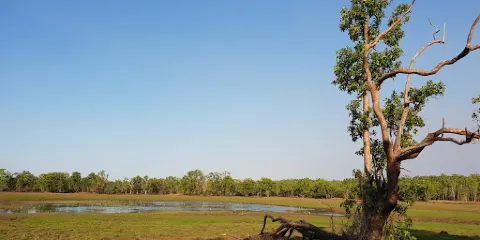 Leaning Tree Lagoon Nature Park
