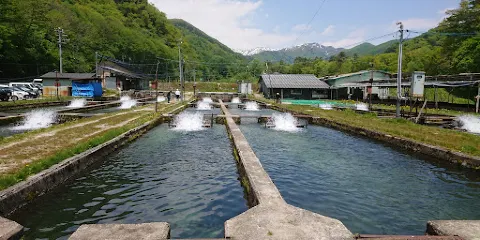 Kashimayari Garden