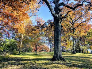 Chautauqua Park