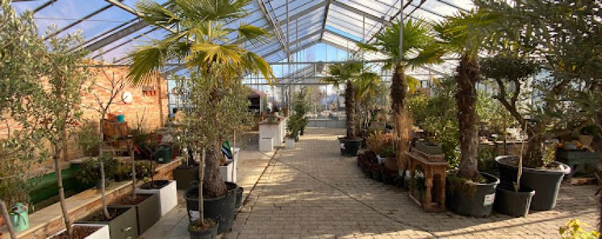 Baum und Garten Offenberger