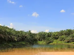 Pusat Latihan Gajah Minas Riau